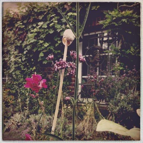 Niet alle gekheid op een stokje maar een slakkenhuis. Raar volk die Duitsers