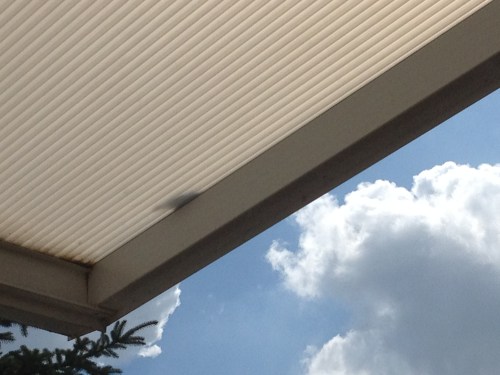 De mussen vallen nu al van het dak, beetje overdreven hoor.