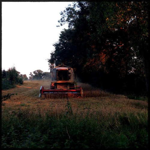 Aha,...mysterie opgelost. Het graan wordt gedorst.