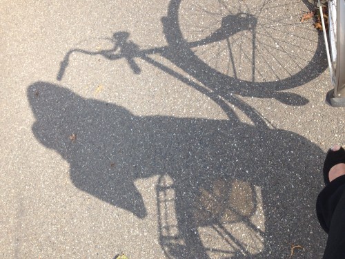 Zie mij weer fietsen