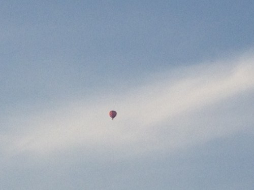 Een vliegende hollander, alhoewel je dat nooit zeker weet in dit grensgebied. 