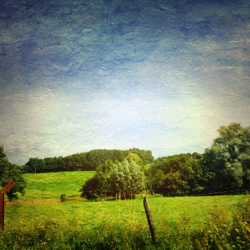 Groene weiden en blauwe lucht, het Limburgse land op zijn mooist