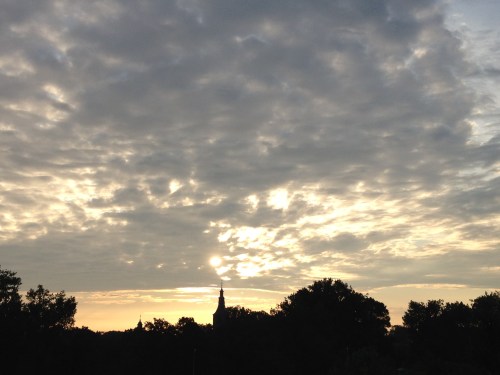 Goudkleurig begin van de dag, dat belooft wat.