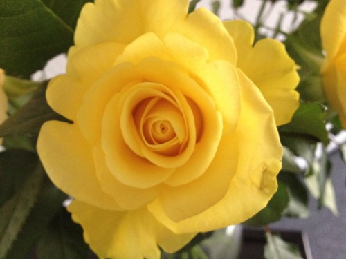 Vanaf vandaag 3 weken vakantie. Ik zal me vast af en toe hier melden. Voor nu...dag dag