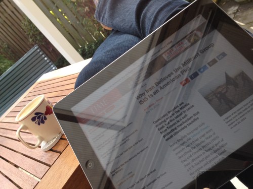 Ondertussen lees ik nog wat complot theoriën