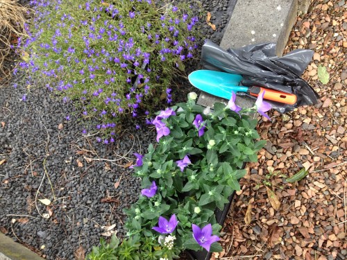 Planten vervangen op het kerkhof