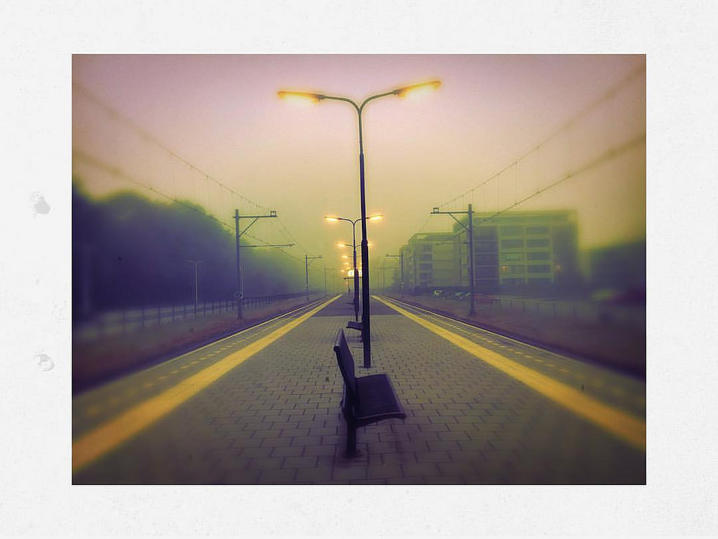 29634211623_35e0a01ae6_b-1