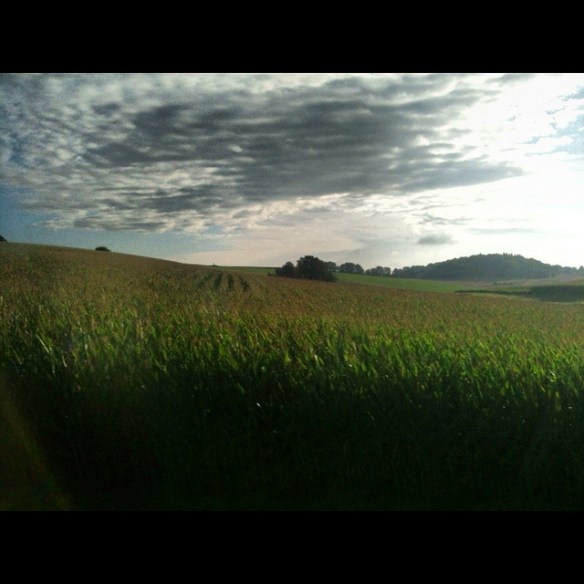 7745950464_db3603eae8_z