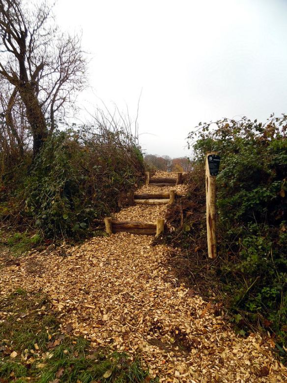 02 Wandelpad Opstapje